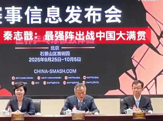 表述